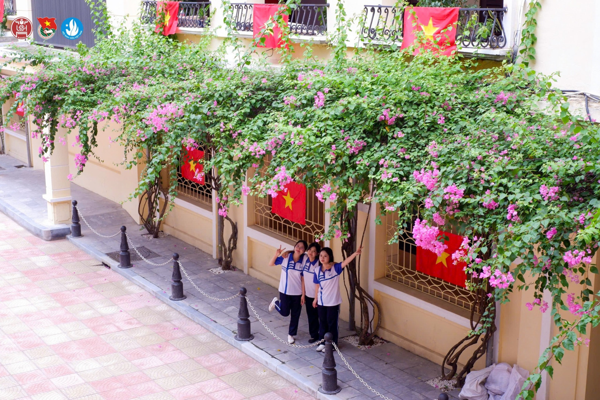 536271434 1168355518659618 4432230406029847929 n