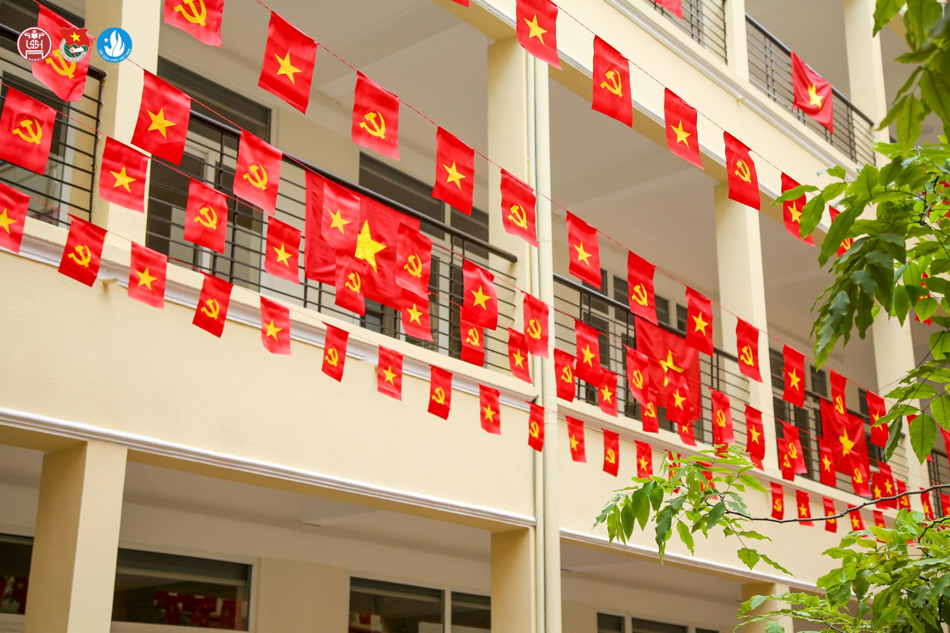 536279830 1168354688659701 482343855711607608 n